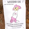 Missing cat Missing cat
