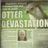 Otter devastation