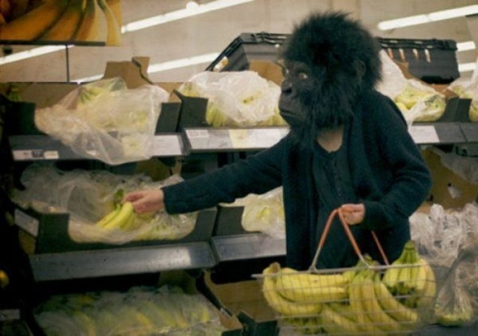 Shopping gorilla
