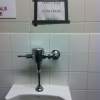 Don't eat gum from the urinal Don't eat gum from the urinal