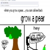 Grow a pear Grow a pear
