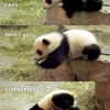 Panda fail Panda fail