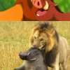Cartoons vs. real life Cartoons vs. real life