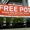 Free pot Free pot