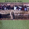 Monster croc Monster croc