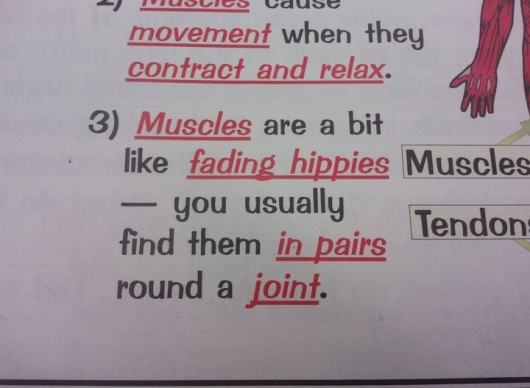 Muscles are like fading hippies