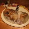 Pomeranian bathes in sink