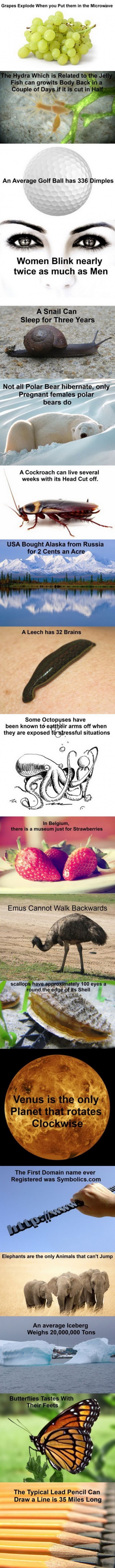 Some interesting facts