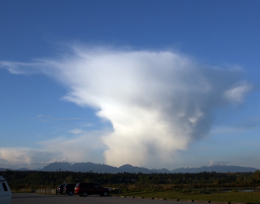 Yoda cloud