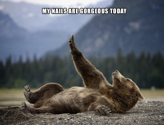 Bear loves his manicure