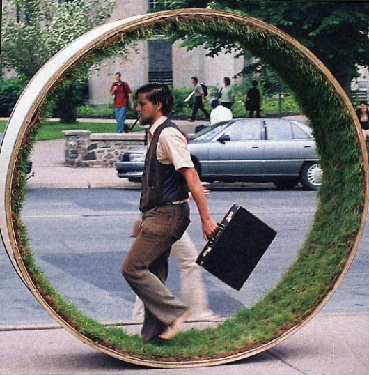Taking a walk in the grass