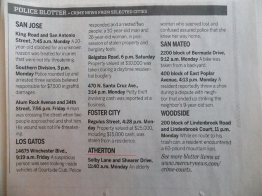 The strange things in the Atherton police blotter - Picture 14