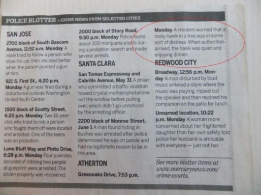 The strange things in the Atherton police blotter - Picture 16
