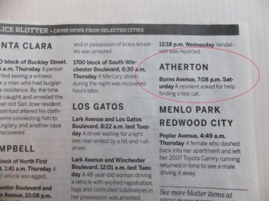 The strange things in the Atherton police blotter - Picture 17