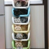 Cat storage