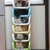 Cat storage Cat storage
