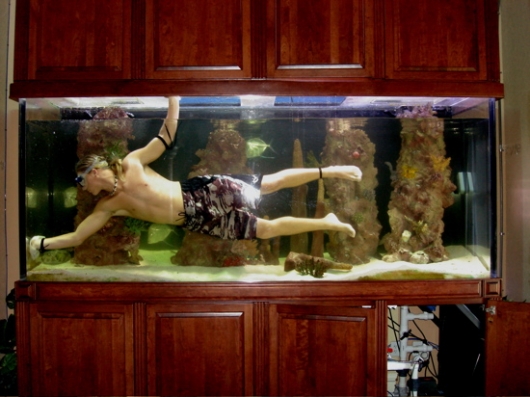 Cleaning the fish tank