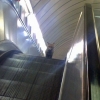 Escalator fox Escalator fox