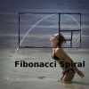 Fibonacci spiral Fibonacci spiral