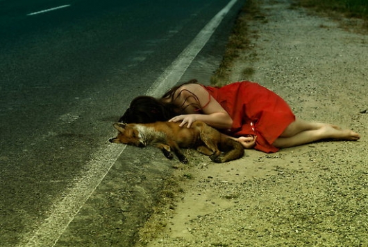 Sleeping with the fox