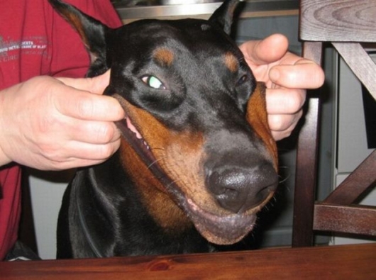 Smile!