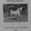 Missing Unicorn Missing Unicorn