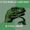 Philosoraptor: If you work at a sex shop
