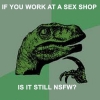 Philosoraptor: If you work at a sex shop Philosoraptor: If you work at a sex shop