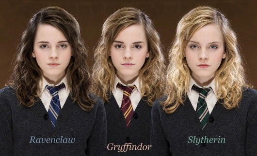 Ravenclaw Gryffindor Slytherin Hermione