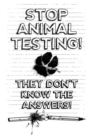 Stop animal testing