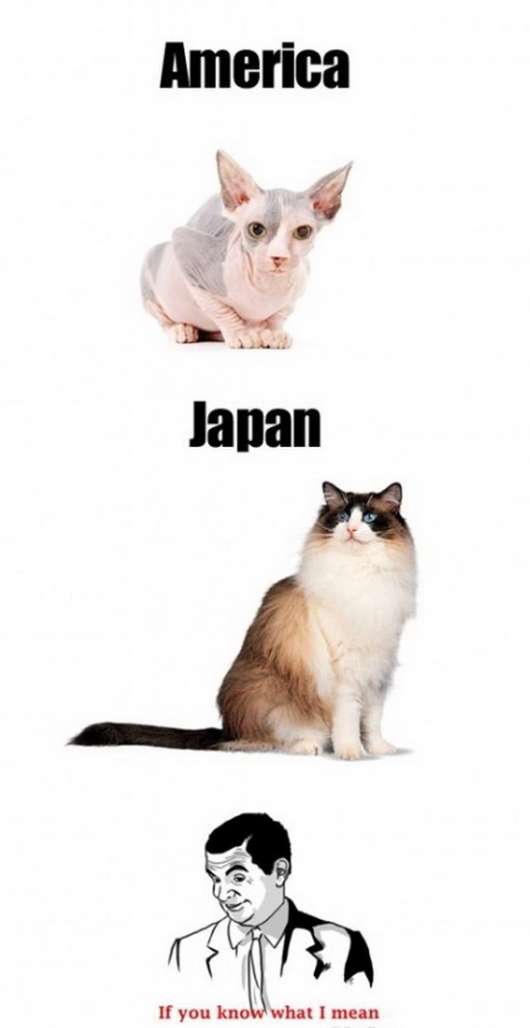 America vs. Japan #2