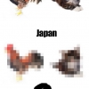 America vs. Japan