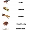 Guide to household pests Guide to household pests