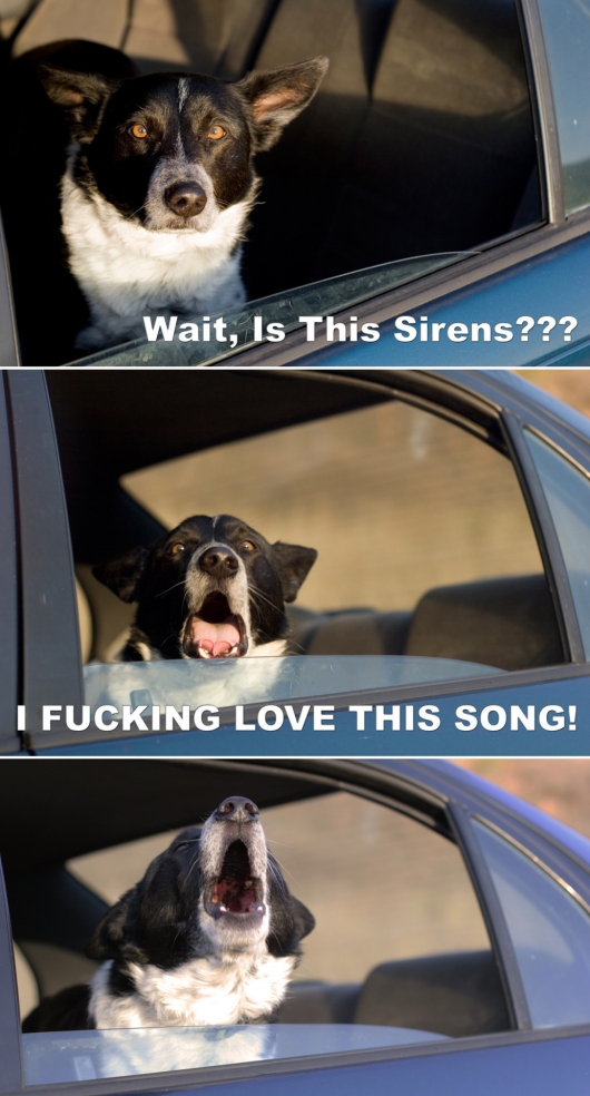 I love this song