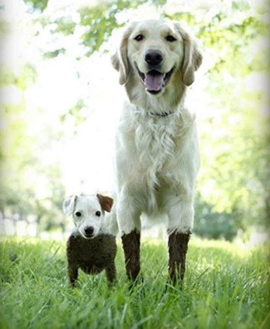 The mud is THIS deep