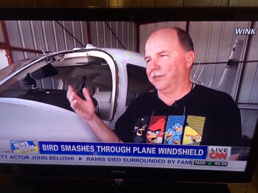 Angry birds
