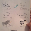 Arctic animals quiz Arctic animals quiz
