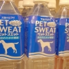 Pet sweat Pet sweat