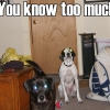 You know too much You know too much