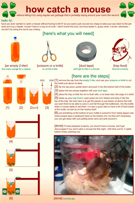 How to catch a mouse