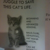 Juggle to save this cat's life Juggle to save this cat's life