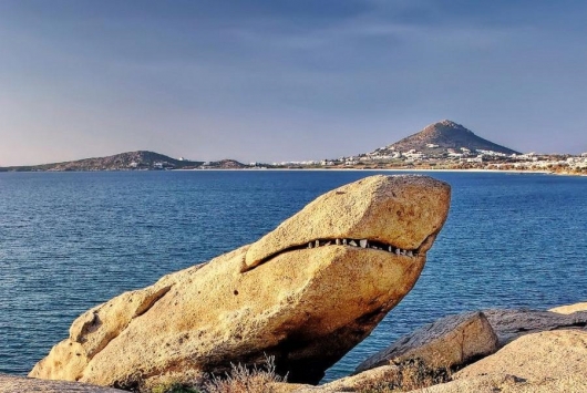 Rock shark