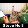 Slow Loris Steve Holt Slow Loris Steve Holt