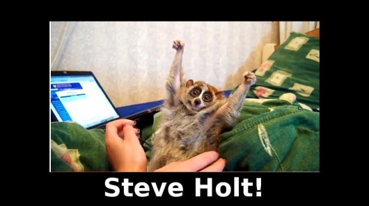 Slow Loris Steve Holt