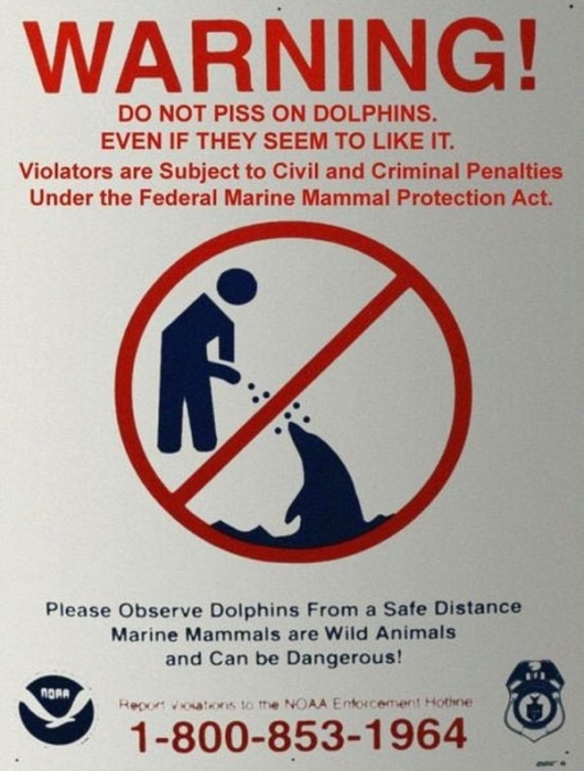 Do not piss on dolphins