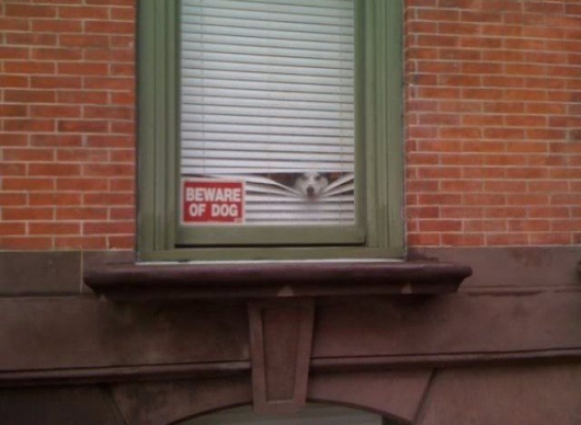 Beware of dog