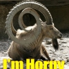 I'm horny I'm horny