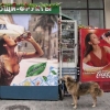Nestea vs Coca-Cola