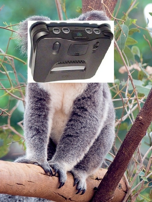 Nintendo koala