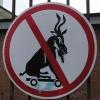 No skateboarding Baphomets No skateboarding Baphomets